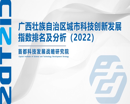 操BXX网【成果发布】广西壮族自治区城市科技创新发展指数排名及分析（2022）